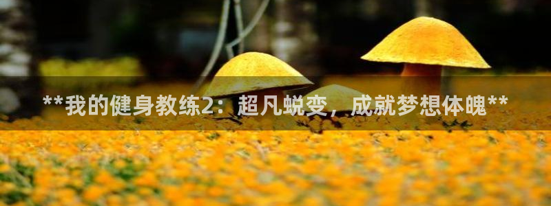 龙8国际网页登陆