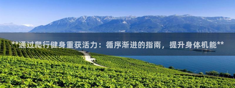 龙8国际手机版app