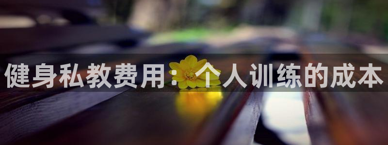 龙8国际网页版下载