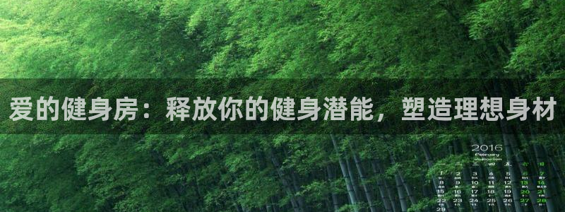 龙8国际long8龙8游戏