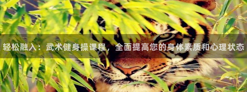 龙8国际官方平台