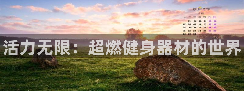 龙八国际服官网站