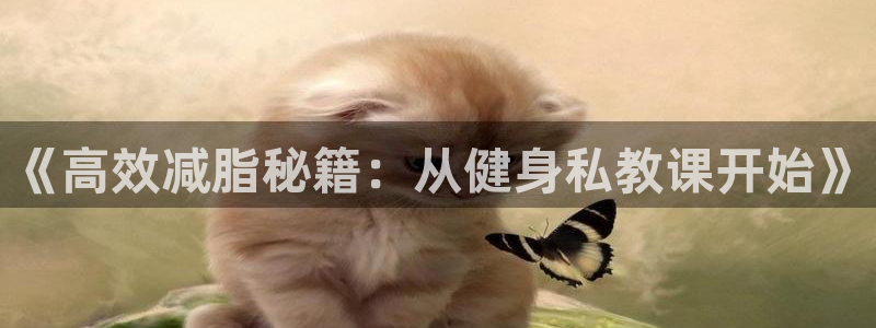 龙8国际官网手机登录