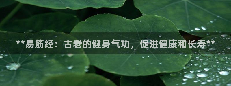 龙8国际手机官网下载安装