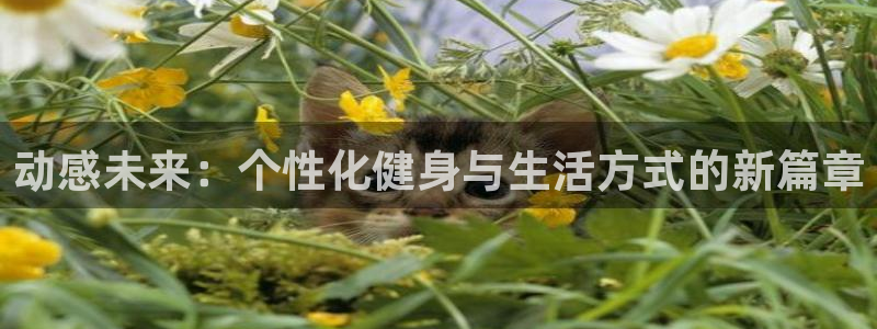 龙8游戏平台的网站