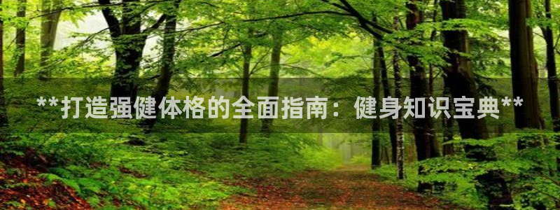 龙8国际平台官网