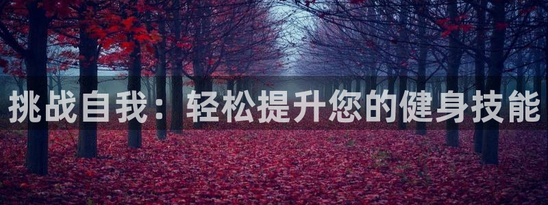 龙8国际唯一官网登录口