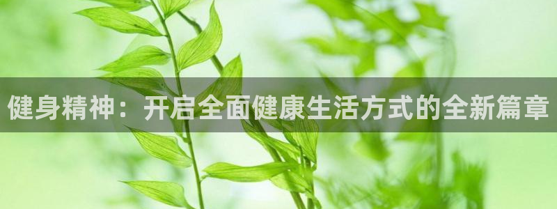 国际龙8唯一登陆