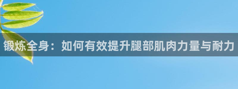 龙8国际网站是多少