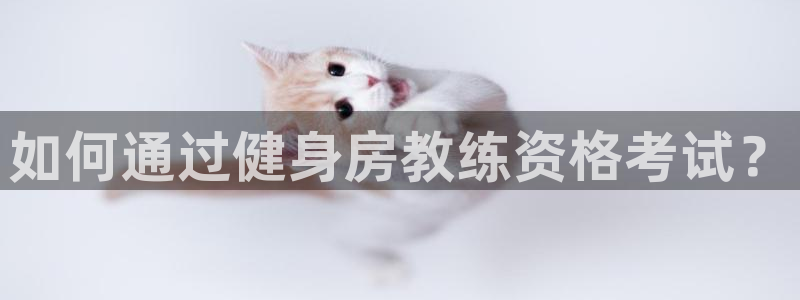 龙8国际手机游戏官网版