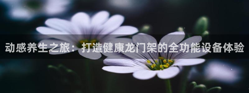 龙8国际登录地址