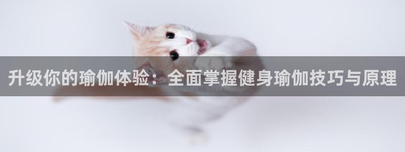 龙八国际娱乐在线游戏