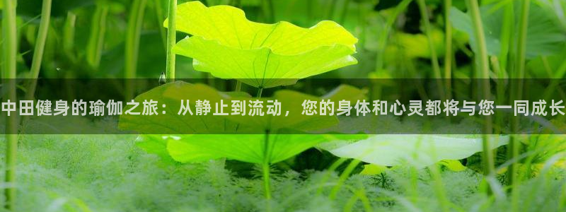 龙8国际long8官方版下载