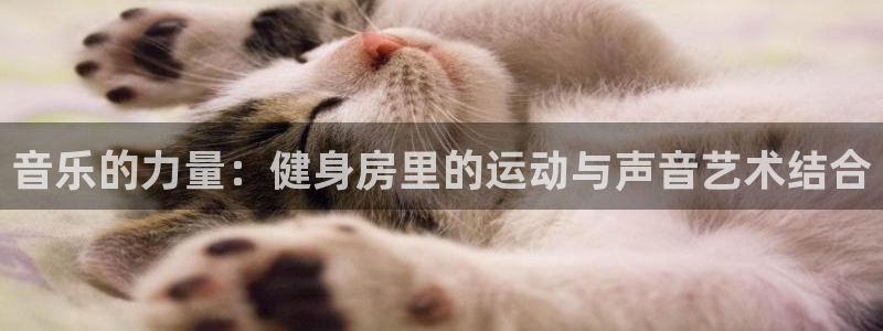 龙8国际老虎机电子