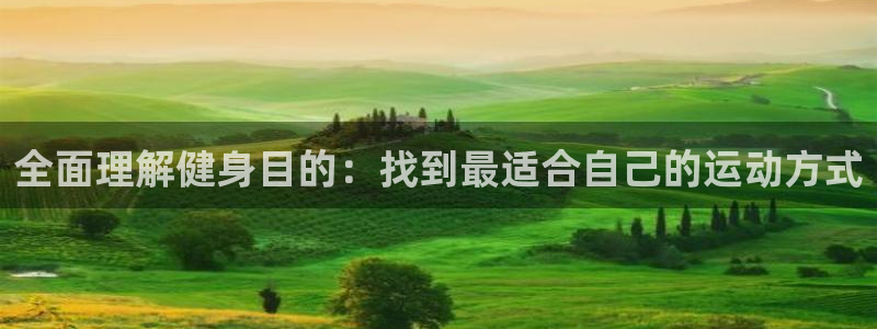 龙8国际官方网站