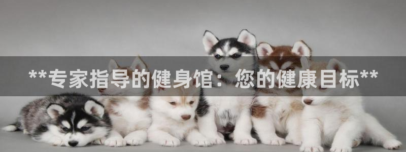 龙8国际官网 - 点此进入