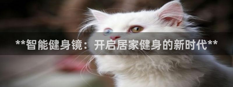 龙8全新客户端安卓版