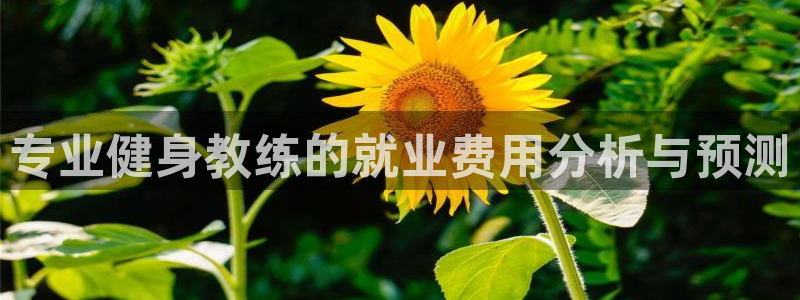 龙8游戏官方进入