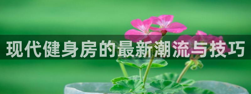 龙8国际官网 点此进入游戏