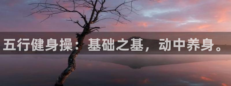 龙8游戏官方网站s