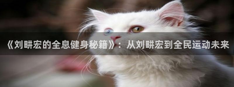 龙八国际娱乐在线游戏