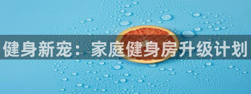 龙8国际long8龙8游戏