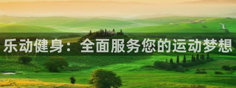 龙8国际游资如何