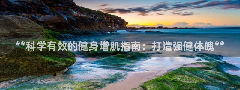 龙8国际官方网站手机版