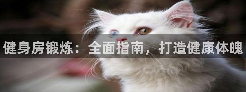 龙八国际手机在线登录