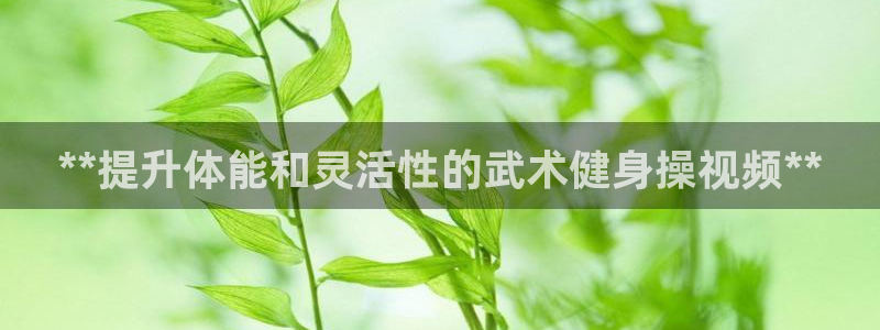 龙8手机游戏官网