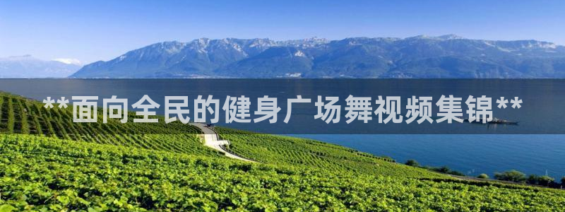 龙8国际的官方网站