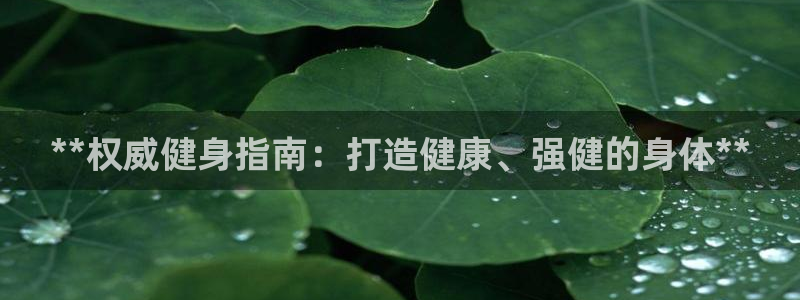 龙八国际手机在线登录