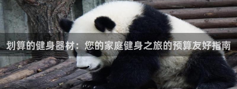 龙8国际游戏唯一官方进入