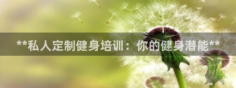 龙8国际游资如何