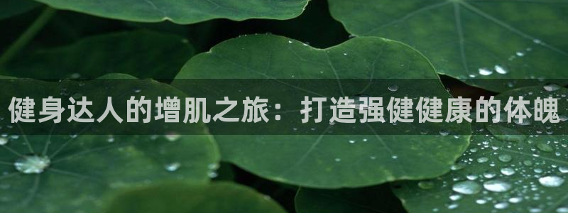 龙8电子游艺网址多少