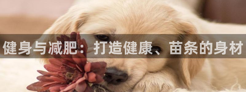 龙8国际手机游戏官网