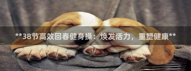 龙8国际手机登录官网