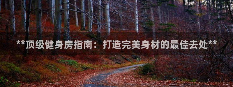 龙8国际网站是多少