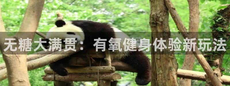 龙八国际官方网站app登录