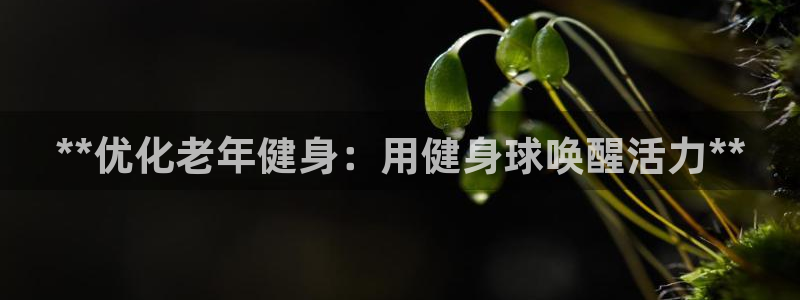 龙8国际头号玩家