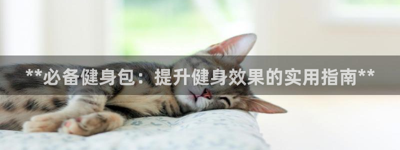 龙8游戏平台官方网站是多少