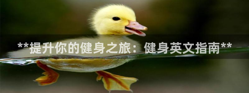 龙8-龙国际-long8-龙8游戏