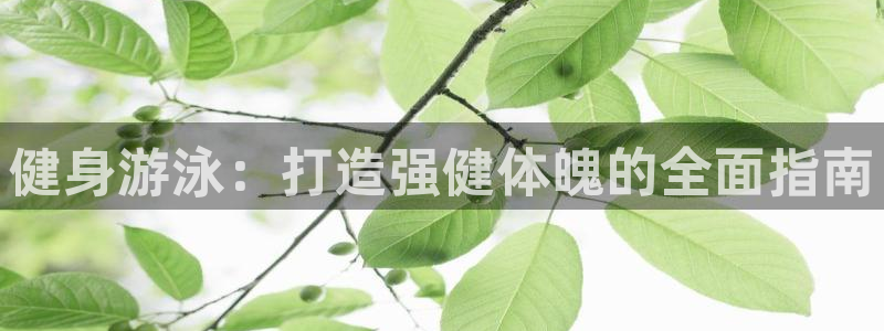 龙8国际老虎机官网