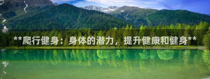 龙8国际安卓版版