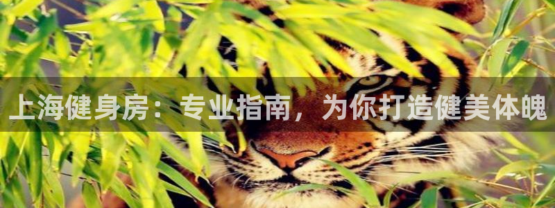 龙8游戏官方网站登录