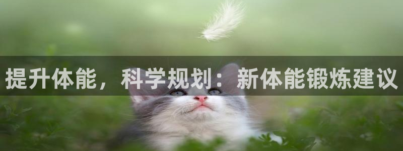 龙八国际娱乐官网下载