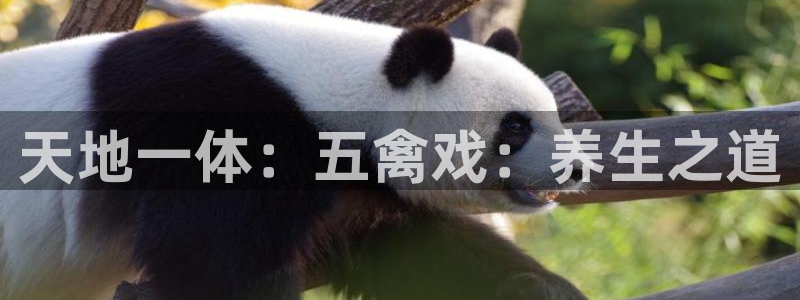 国际龙8官方网站