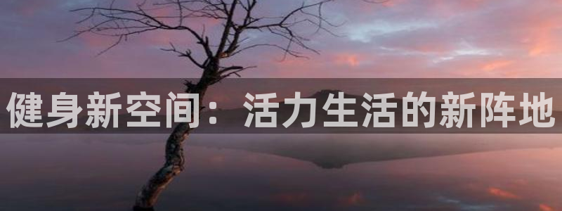 龙8国际long8龙8游戏