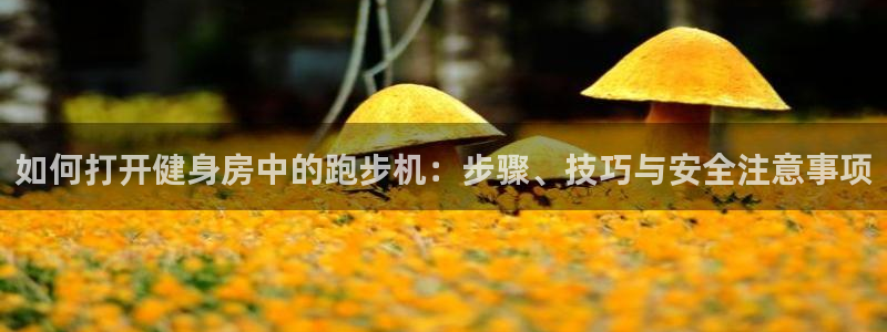 龙8国际官网官方版fxzls天地手游 -kc -安卓