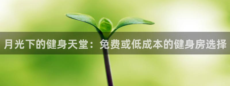 龙8游戏官方进入